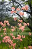 107-JardinBotaniqueMontreal