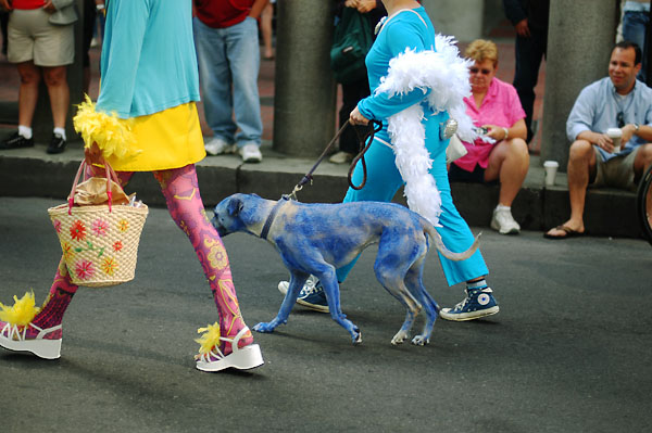 DSC_0095