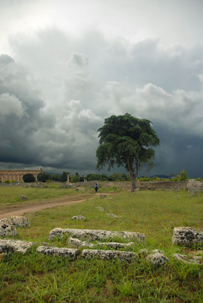 1280_Paestum