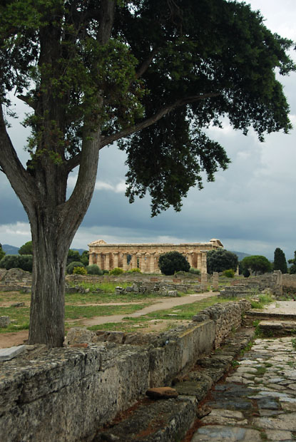 1289_Paestum