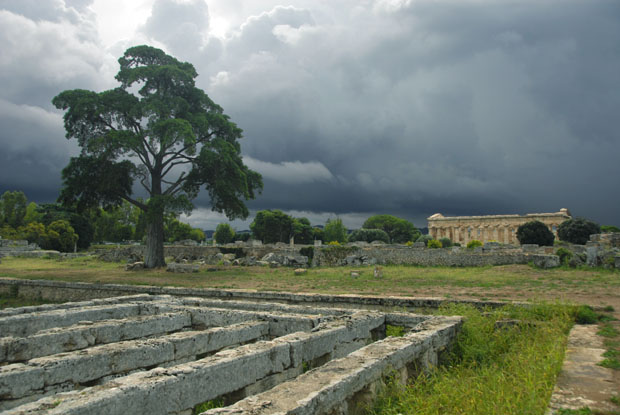 1295_Paestum
