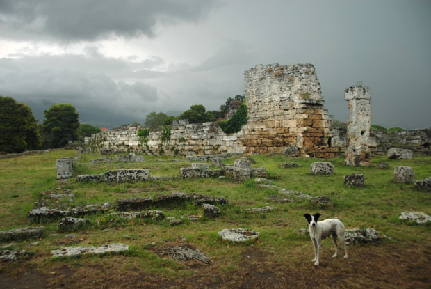 1336_Paestum