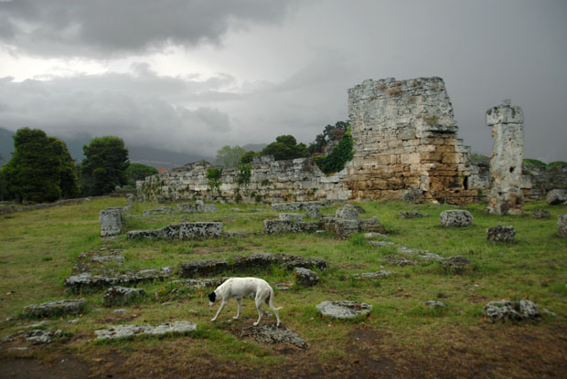 1338_Paestum