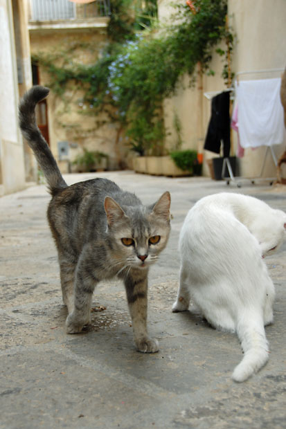1792_Lecce