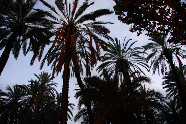 2430_PalermoSicily