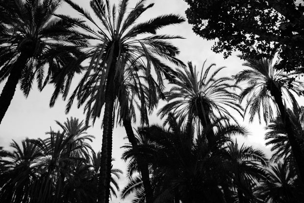 2430a_PalermoSicily