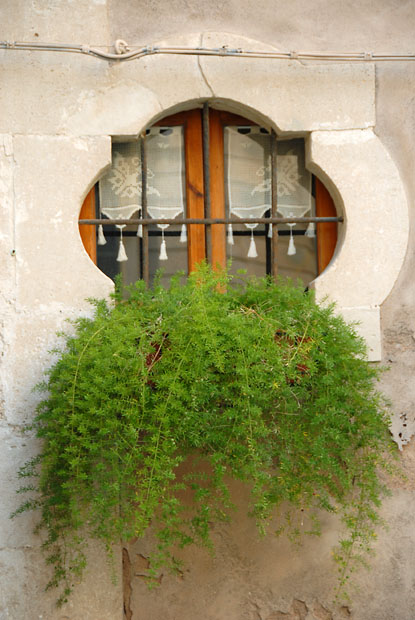 3137_SiracusaSicily
