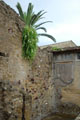 0589_Ercolano