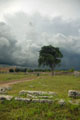 1280_Paestum