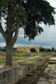 1289_Paestum