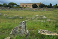 1305_Paestum