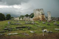 1336_Paestum