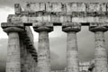 1341_Paestum