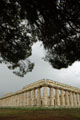 1346_Paestum