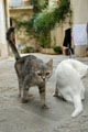 1792_Lecce