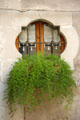 3137_SiracusaSicily