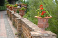 3596_TaorminaSicily