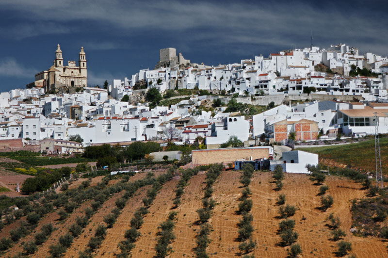 0647_WhiteHillTown