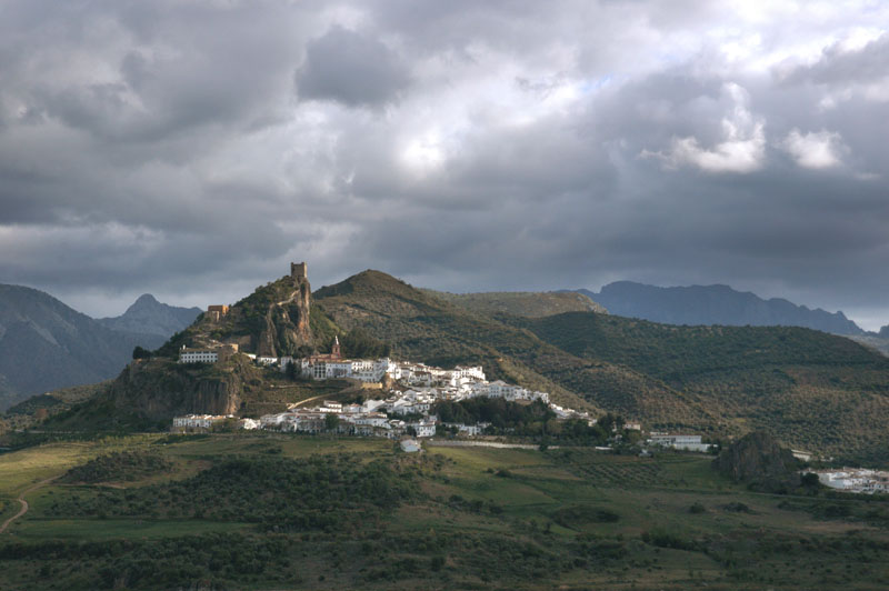 0681_Zahara