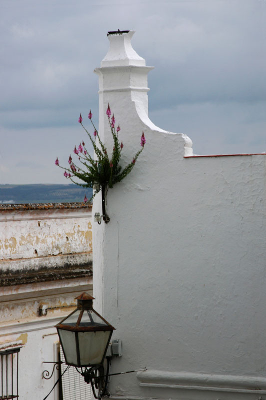 0693_Arcos