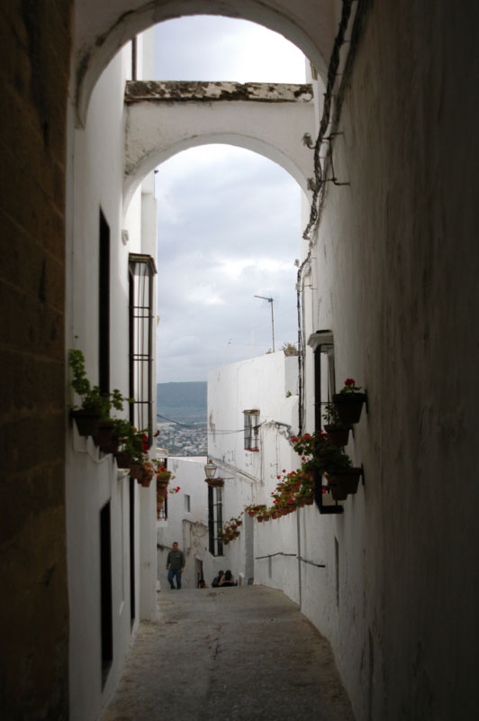 0694_Arcos