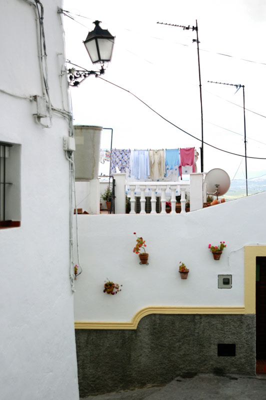 0696_Arcos