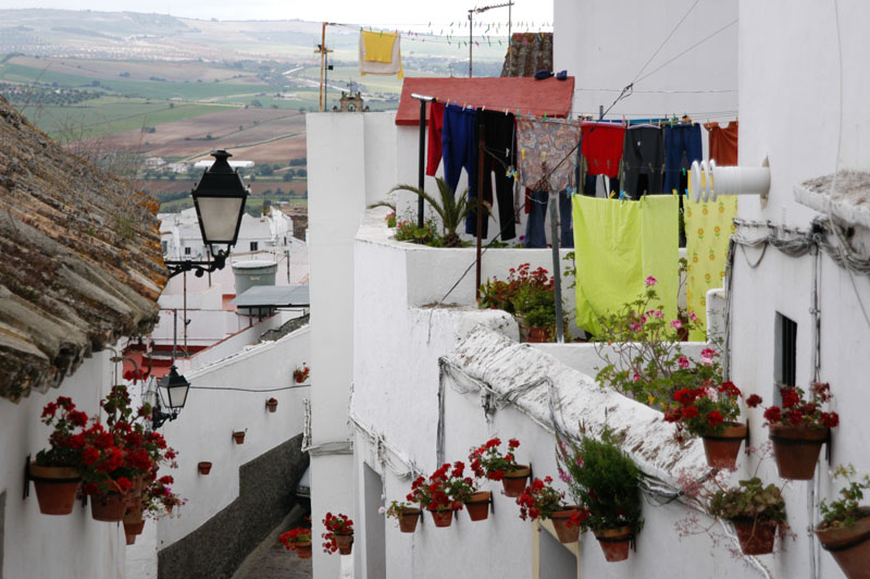 0698_Arcos