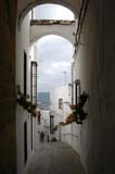 0694_Arcos