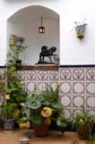 0697_Arcos