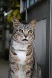 0870_Lisbon