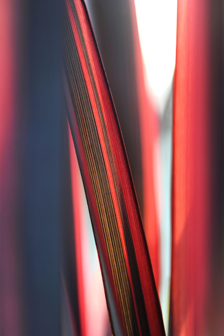 DSC_0010