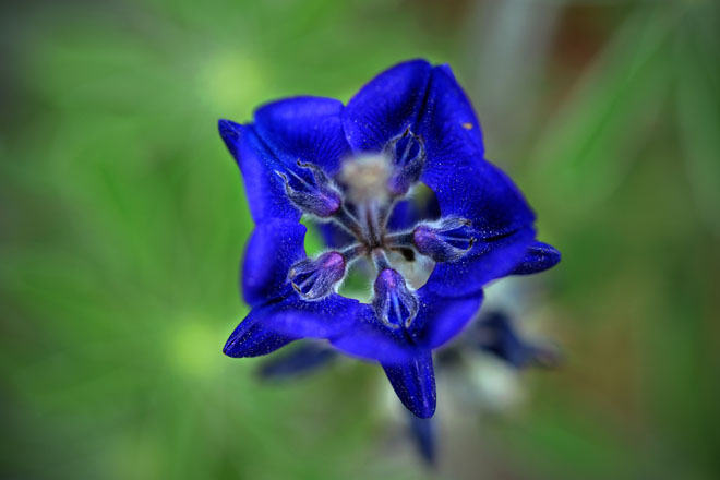 DSC_0093