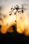 AAA_0024